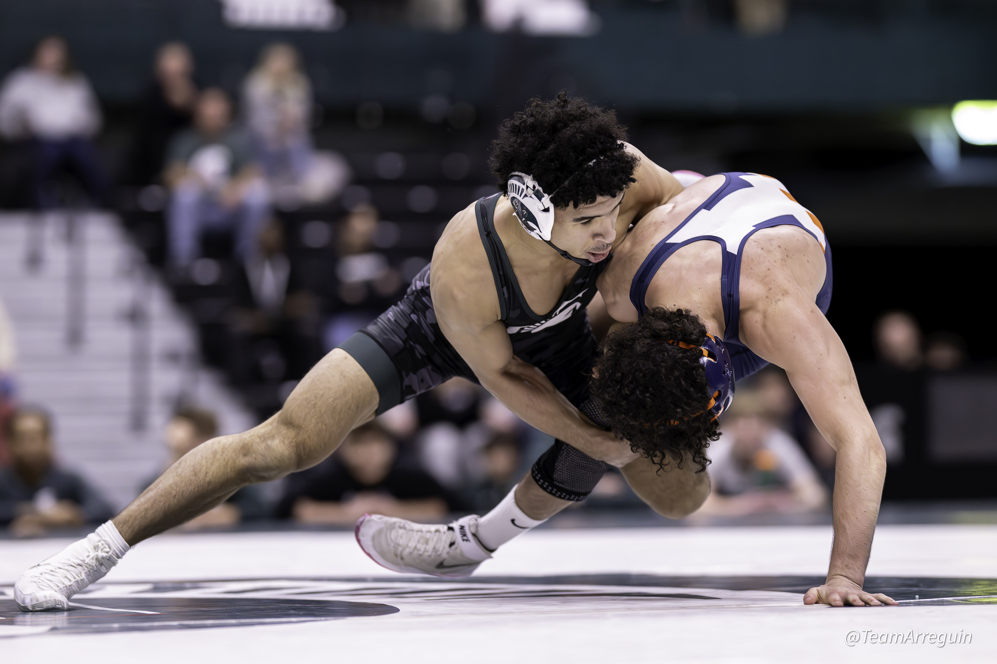 Illinois Builds Early Separation, Defeats Michigan State 31–12 in Big Ten Dual